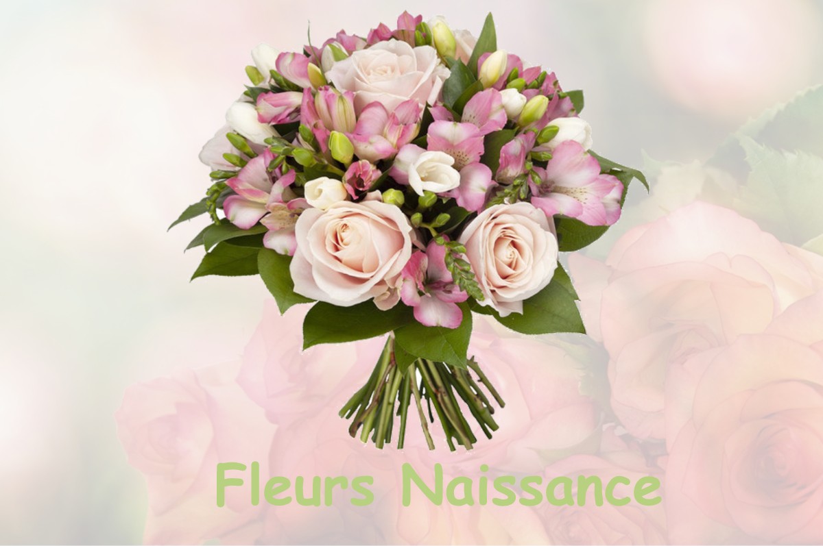 fleurs naissance LA-VILLE-AUX-BOIS